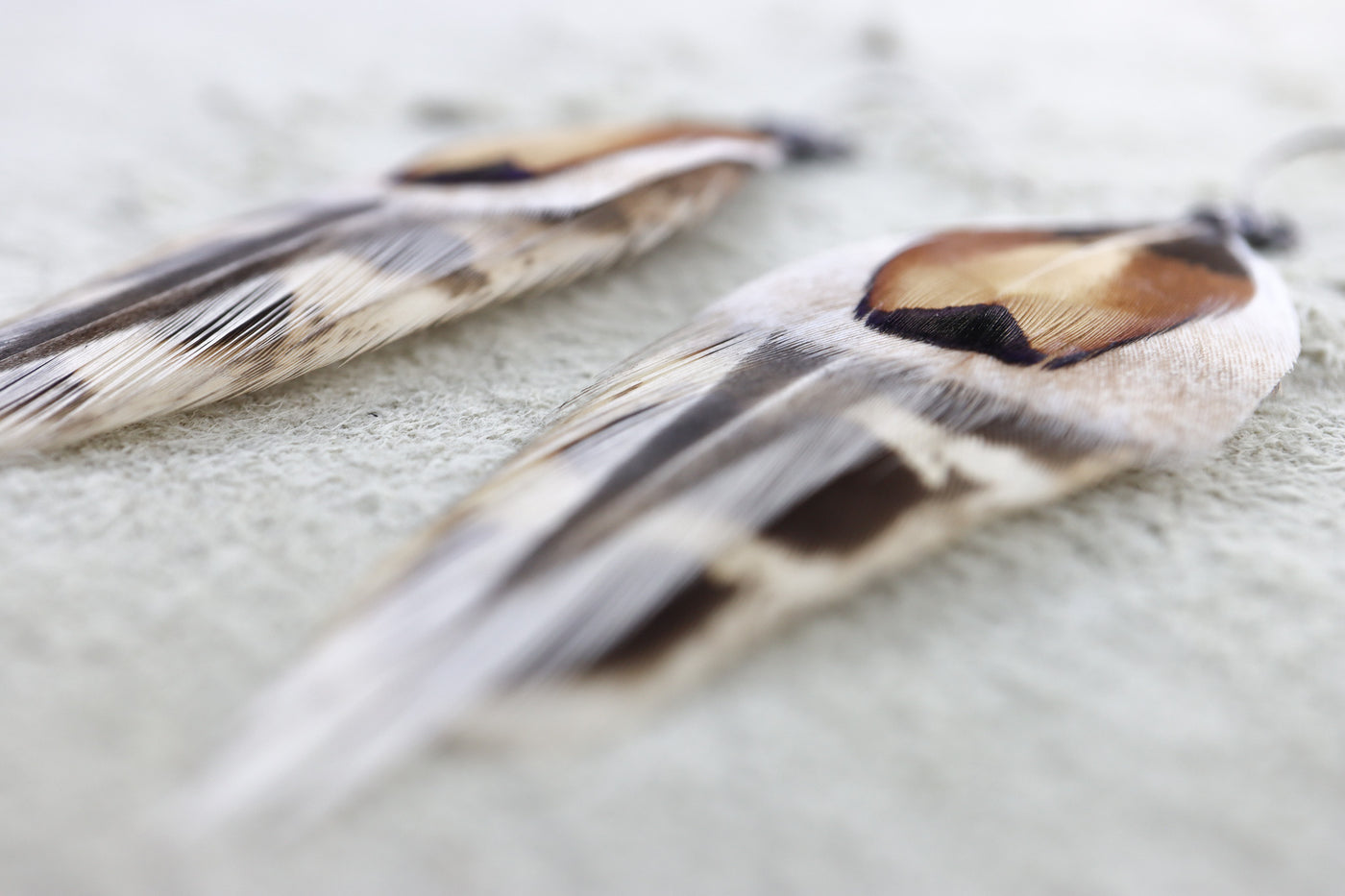 Desert Pearl Feather Dangles